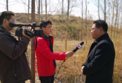 财讯：山东发放27个环境行业省级行政权力一些事项“二号章”