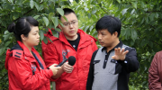 财讯：农发行冠县支行积极做好“六保”“六稳”服务乡村振兴