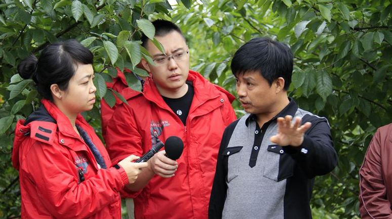 “家电业科技最高奖项颁给了谁？看完文案发现，海尔智家均最强”